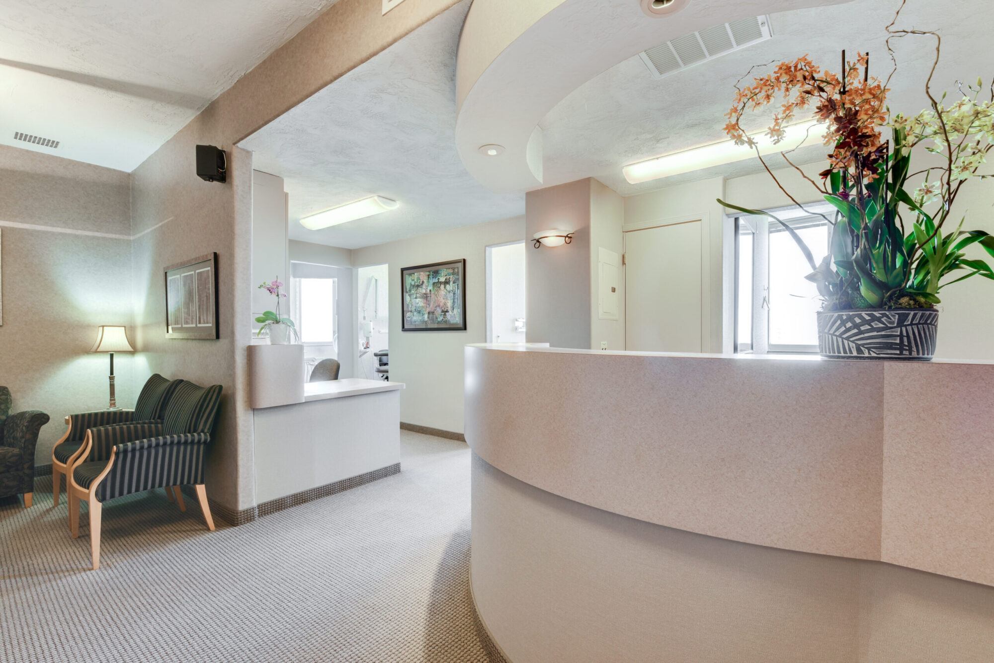 dentist in san francisco teeth whitening